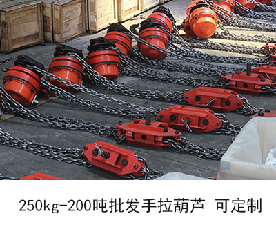 250kg-200噸手拉葫蘆廠家批發 可定制